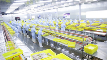 電子商務中的消費者權益保障 挑戰(zhàn)與應對